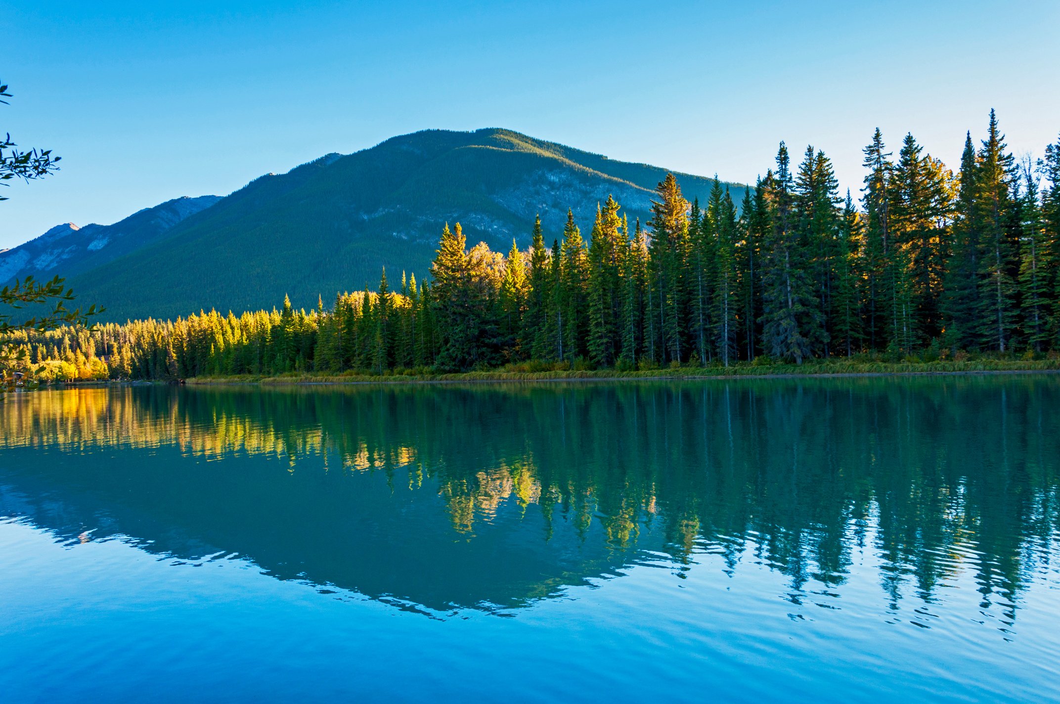 Forest and mountain reflection